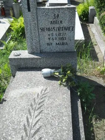 Zdjęcie grobu 20/339