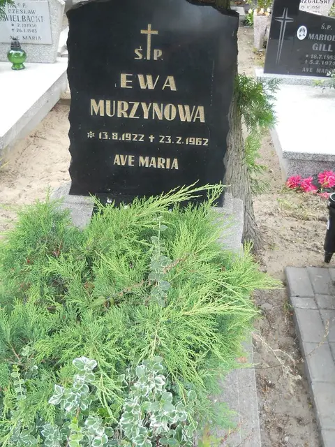 Zdjęcie grobu 9/24504