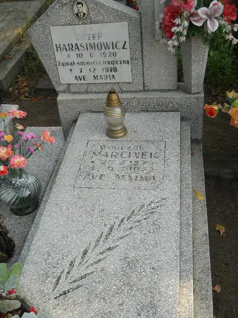 Zdjęcie grobu 15/26637