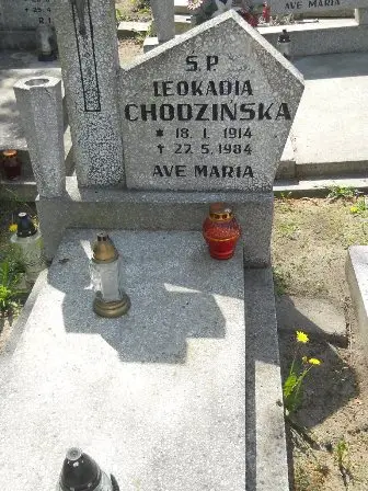 Zdjęcie grobu 25/126