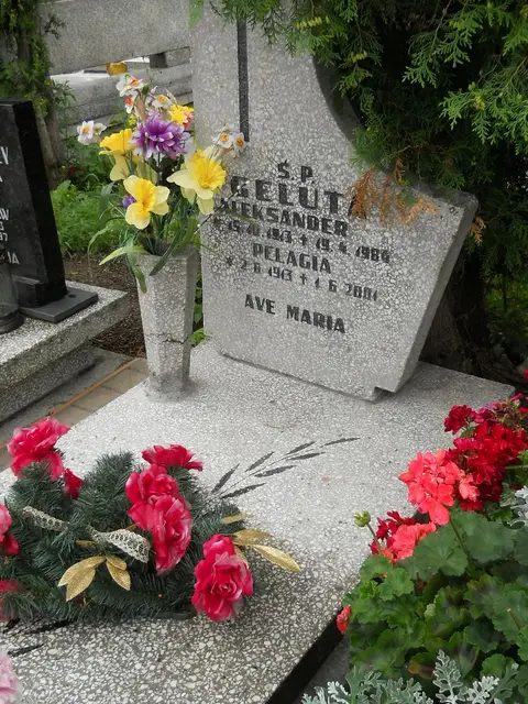 Zdjęcie grobu 24/23328