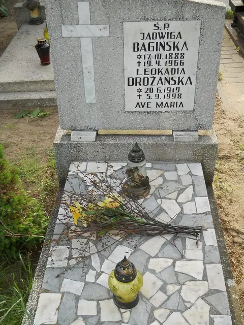 Zdjęcie grobu 8/10672