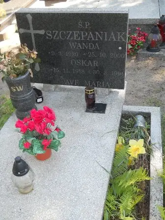 Zdjęcie grobu 46/100