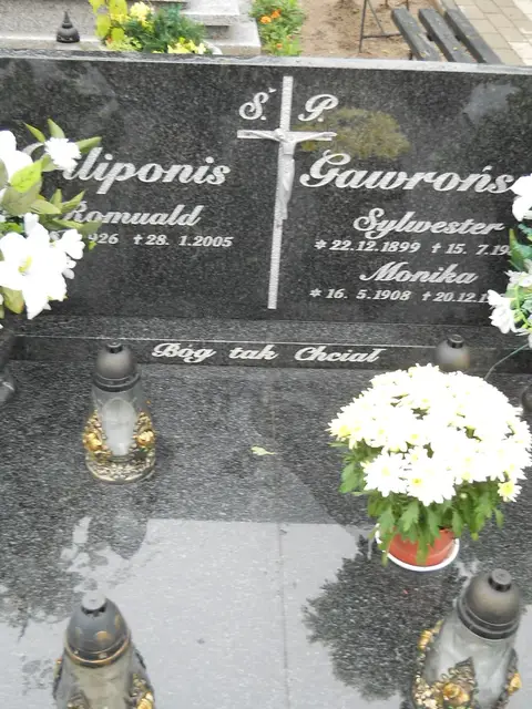 Zdjęcie grobu 24/23238