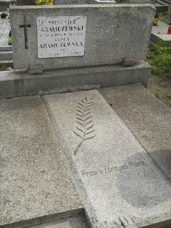 Zdjęcie grobu 9/126,127