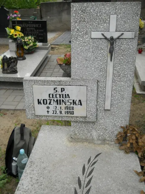 Zdjęcie grobu 7/10902