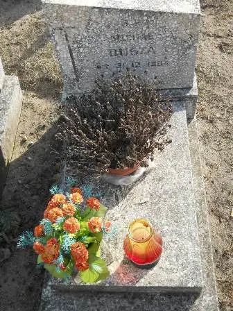 Zdjęcie grobu 100/100