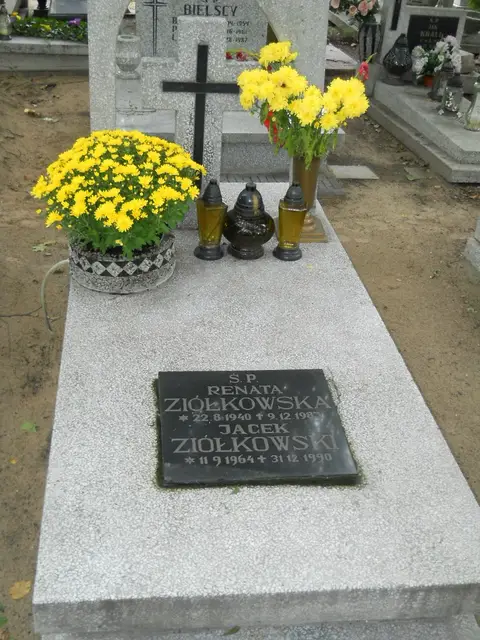 Zdjęcie grobu 13/29611