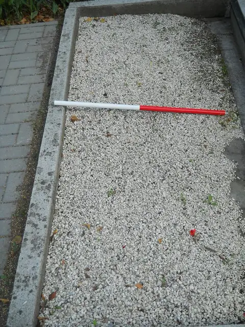 Zdjęcie grobu 6/24105