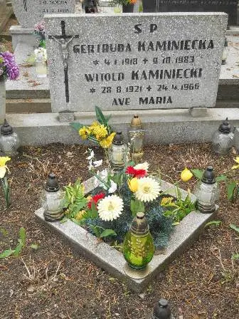 Zdjęcie grobu 33/168,169
