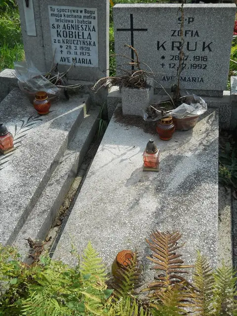 Zdjęcie grobu 16/26356