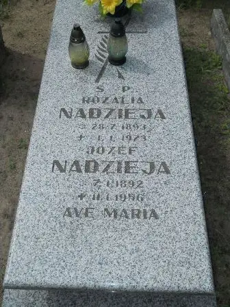 Zdjęcie grobu N/146