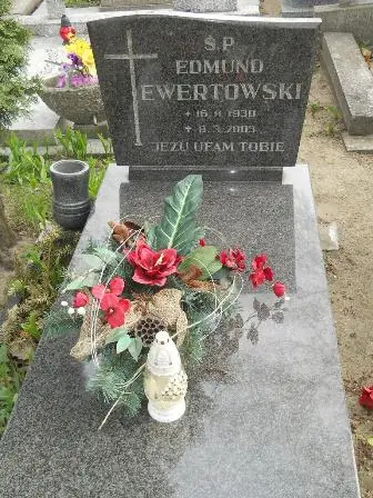 Zdjęcie grobu 9/95