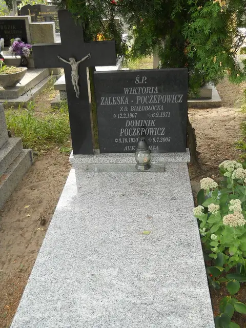 Zdjęcie grobu 11/29115