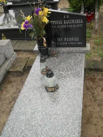 Zdjęcie grobu 36/100