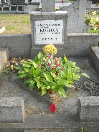 Zdjęcie grobu 37/100