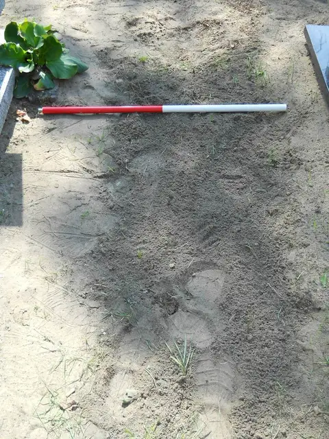 Zdjęcie grobu 14/27280