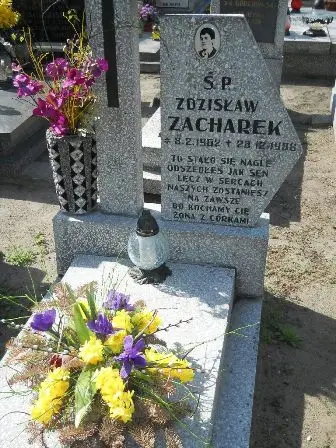 Zdjęcie grobu 24/311
