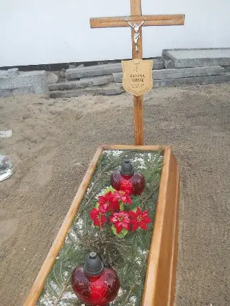 Zdjęcie grobu 8/113