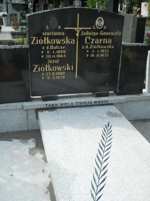 Zdjęcie grobu 11/29278
