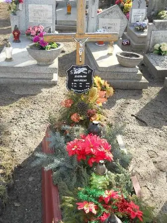 Zdjęcie grobu 6/230a