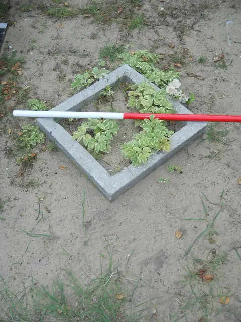 Zdjęcie grobu 9/24478