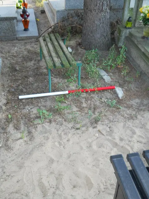 Zdjęcie grobu 14/27900