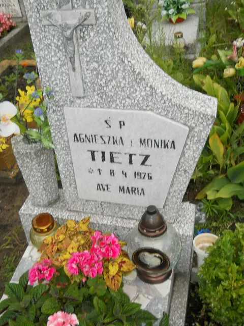 Zdjęcie grobu 21/23871