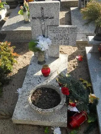 Zdjęcie grobu 100/100