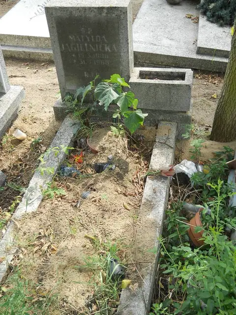Zdjęcie grobu 16/26250