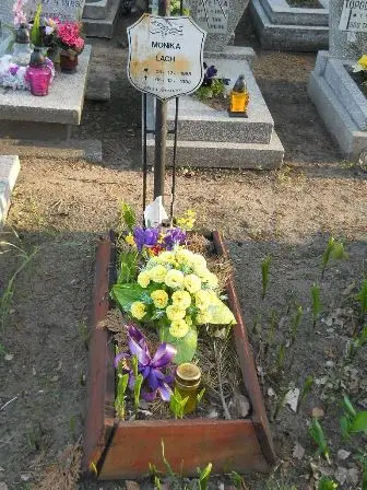Zdjęcie grobu 7b/100