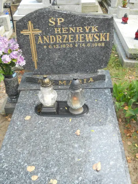 Zdjęcie grobu 14/26864
