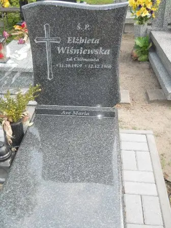 Zdjęcie grobu 23/29