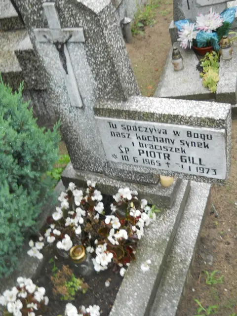 Zdjęcie grobu 21/23963