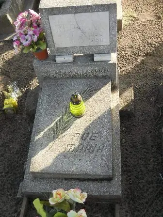 Zdjęcie grobu 100/100
