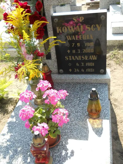 Zdjęcie grobu 14/27289