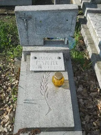 Zdjęcie grobu 7/100
