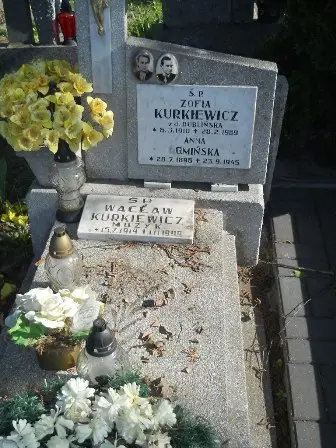 Zdjęcie grobu 20/100