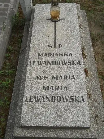 Zdjęcie grobu 22/132