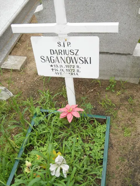 Zdjęcie grobu 21/23788