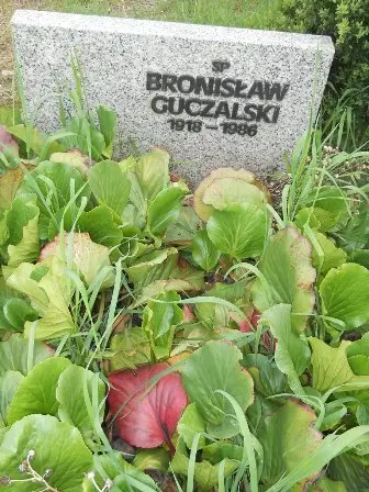 Zdjęcie grobu 44/207