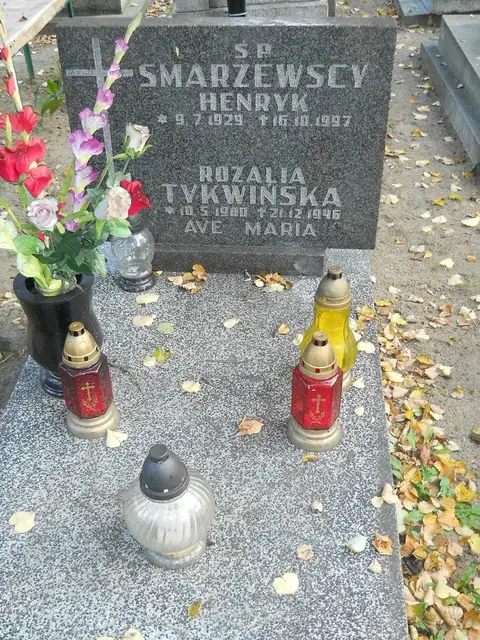 Zdjęcie grobu 15/26836
