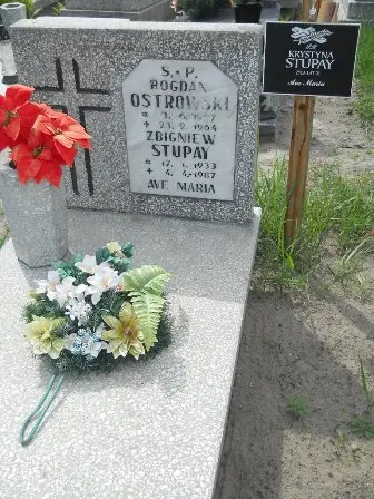 Zdjęcie grobu 20/100