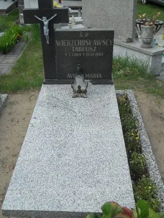 Zdjęcie grobu 34/100