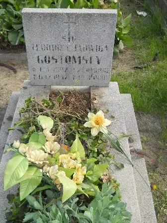 Zdjęcie grobu 23/100