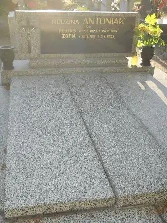 Zdjęcie grobu 45/grobowiec