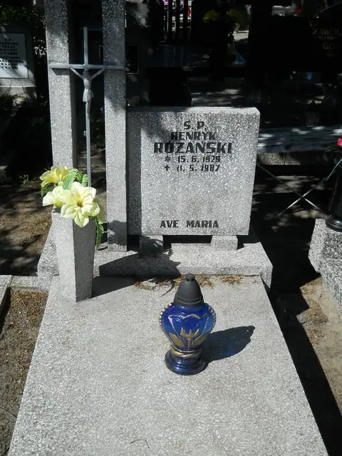 Zdjęcie grobu 8A/10358