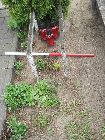 Zdjęcie grobu 36/100