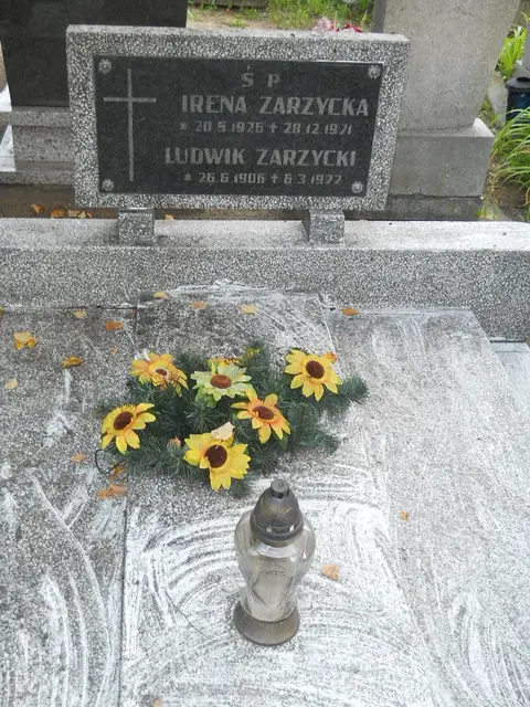 Zdjęcie grobu 14/26958