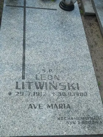 Zdjęcie grobu 35/469